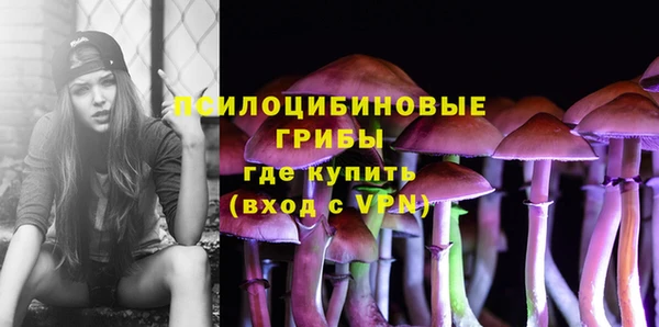 прущие крисы Верхний Тагил