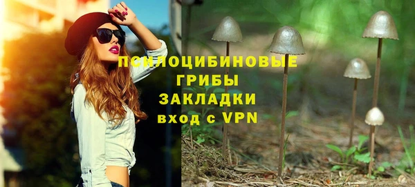 spice Верея