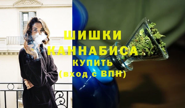 spice Верея